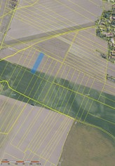 Prodej orné půdy o celkové výměře 10 051 m2 v blízkosti města Nymburk, okr Nymburk. 